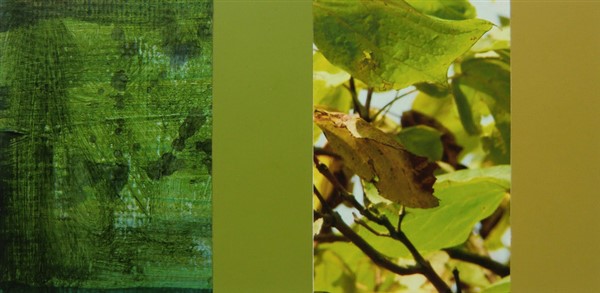 collage10
