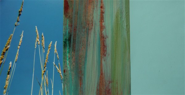 collage8