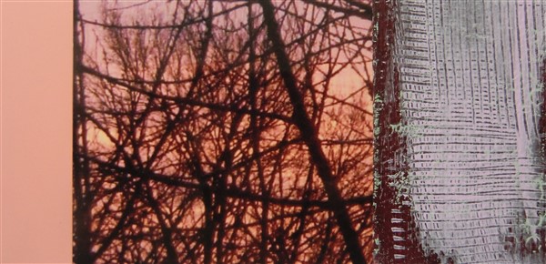 collage3