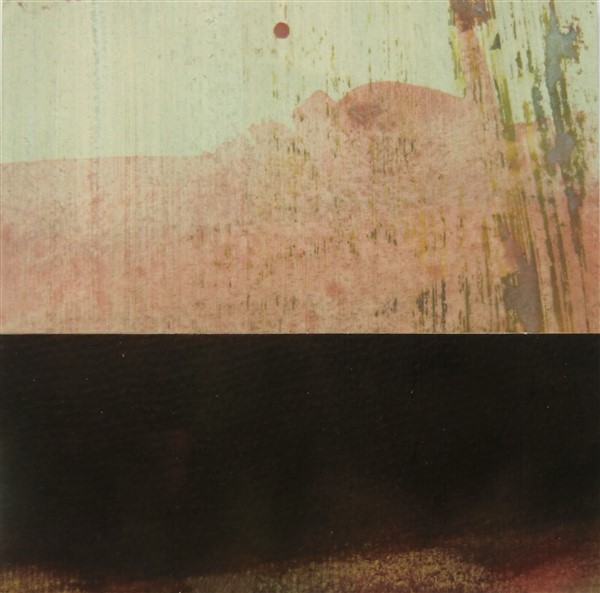 collage10