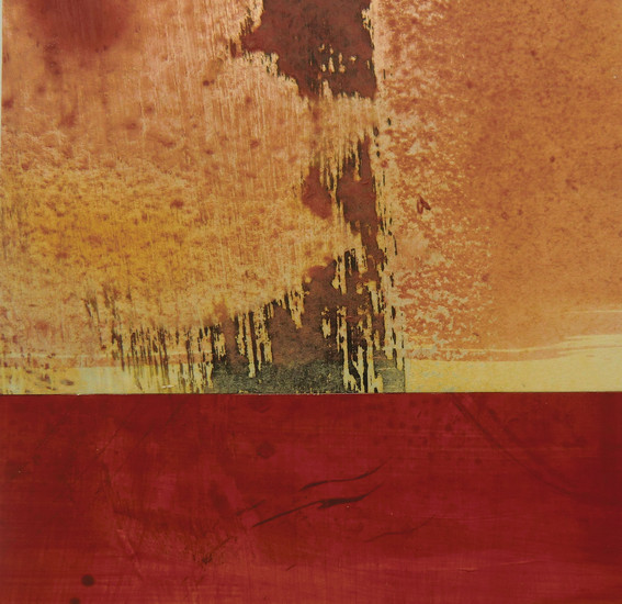 collage8
