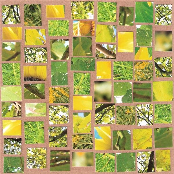 collage4