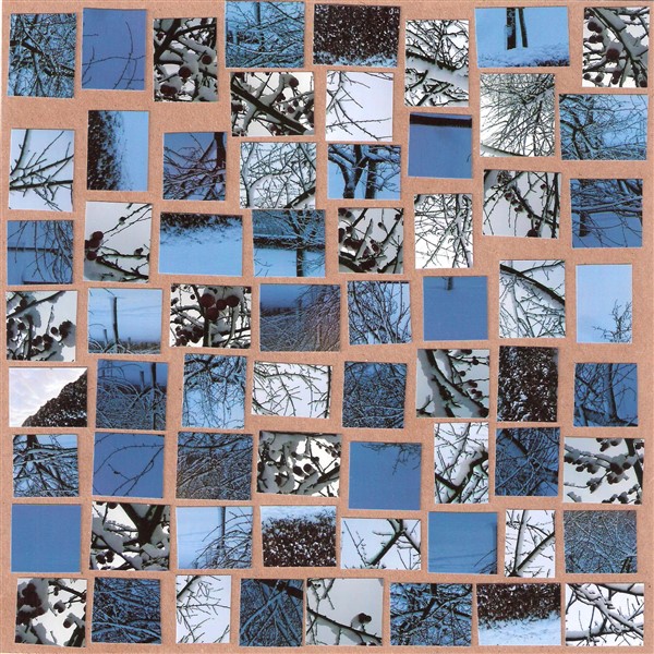 collage2