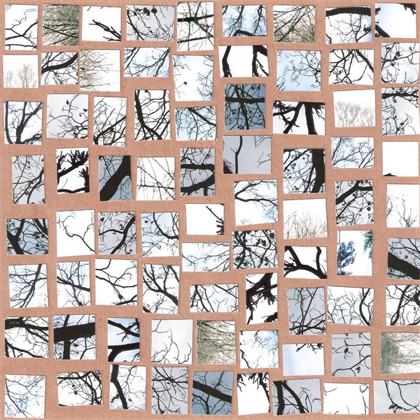 collage