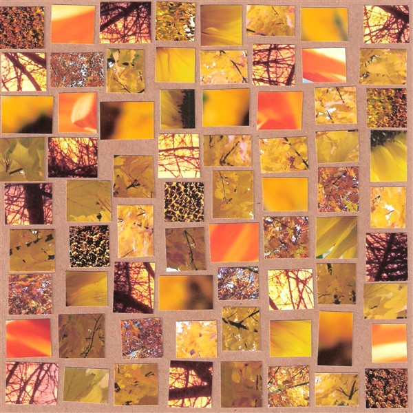 collage7
