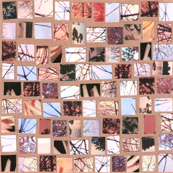 collage3