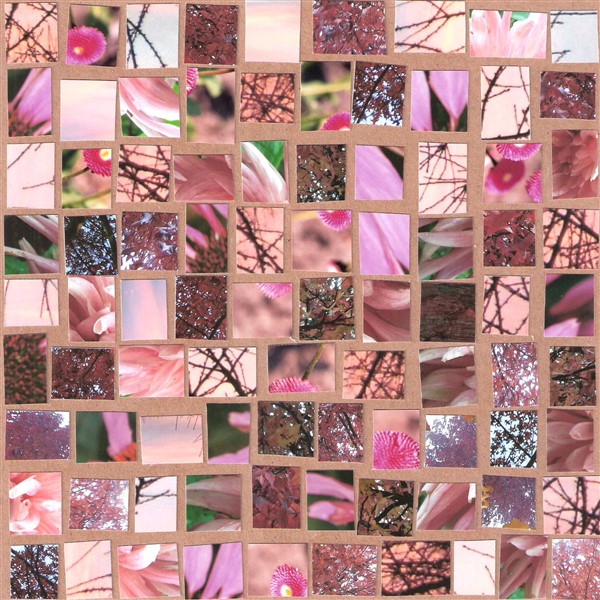 collage5