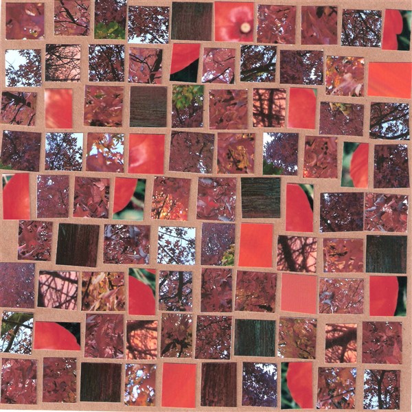 collage9