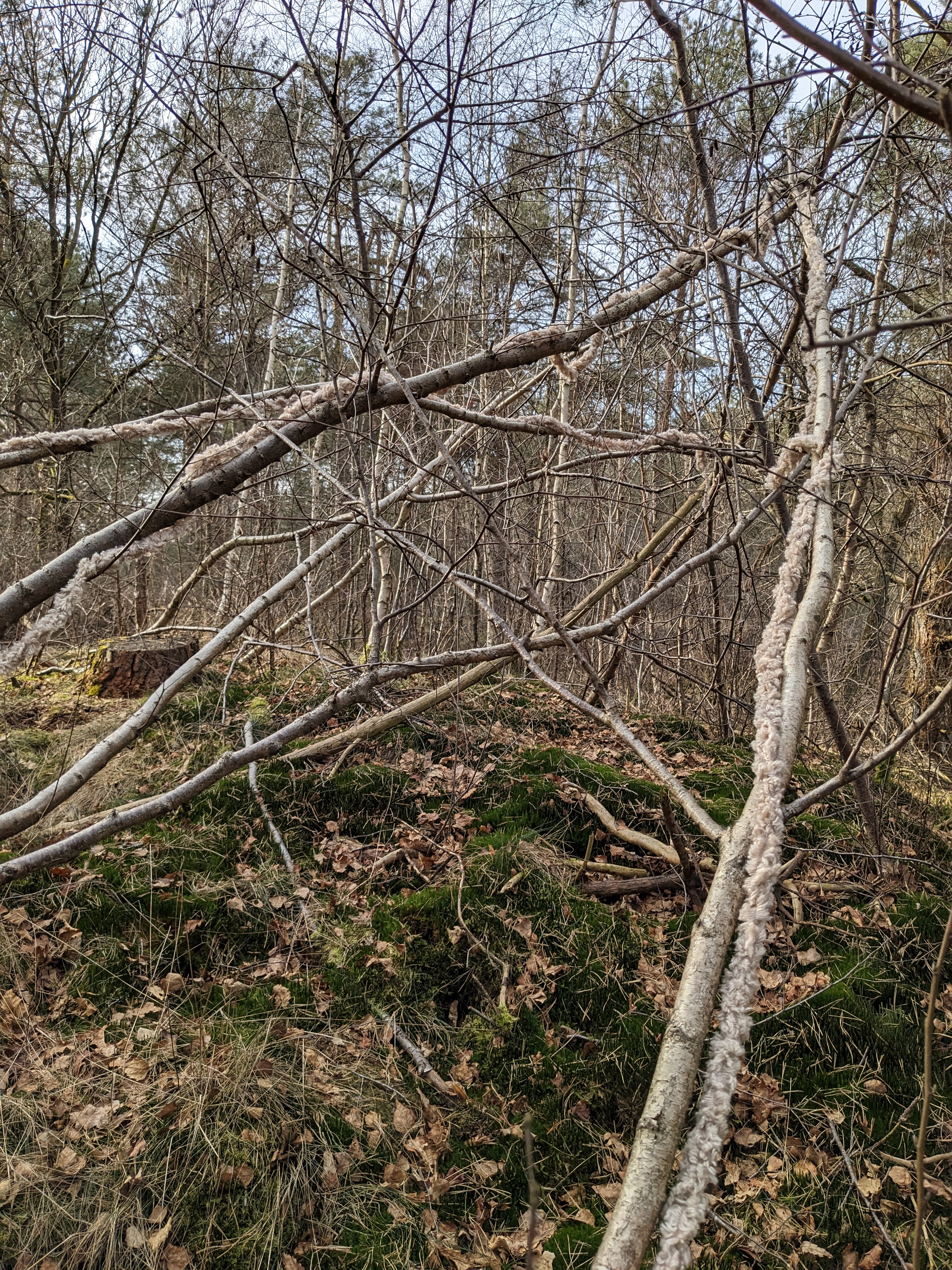 installations7
