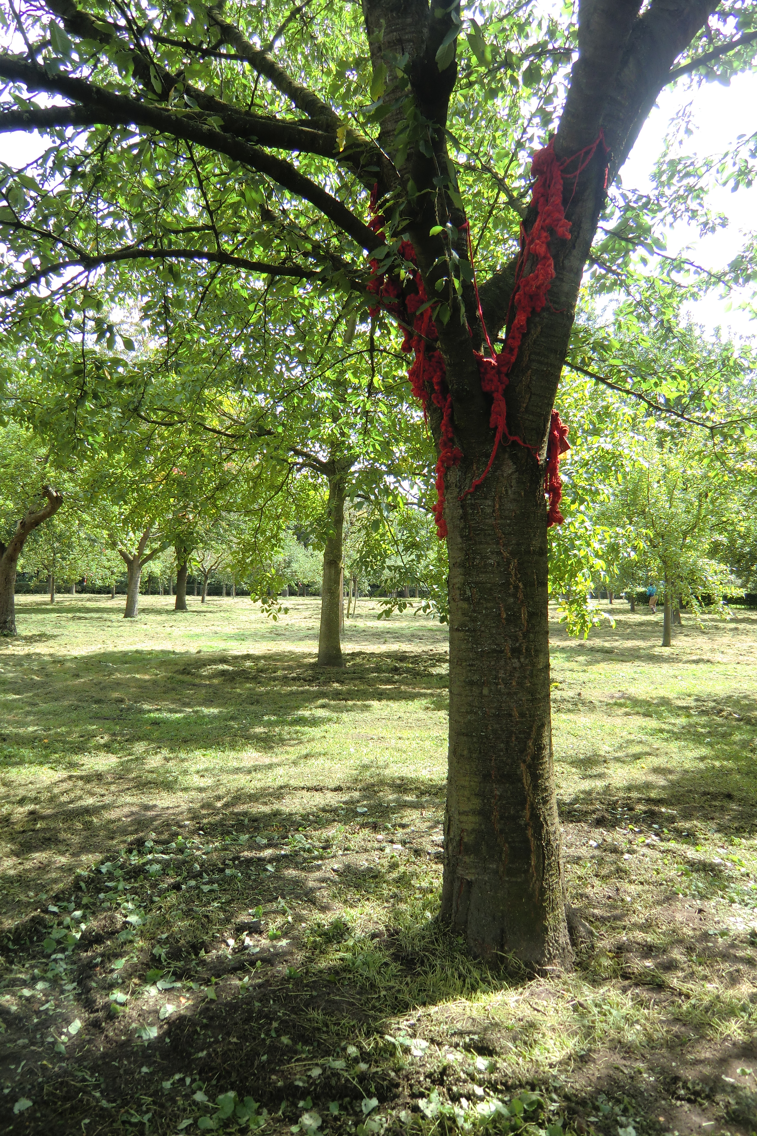 installations9