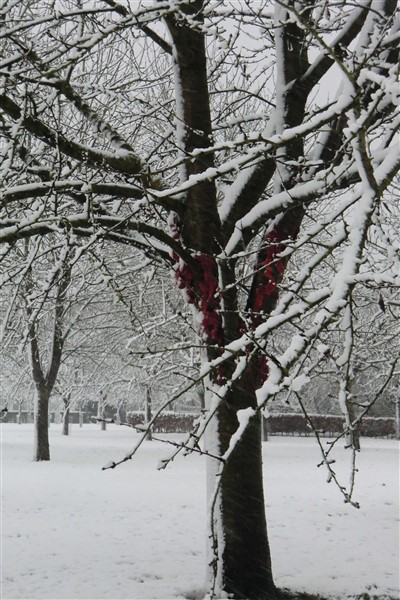 installations12