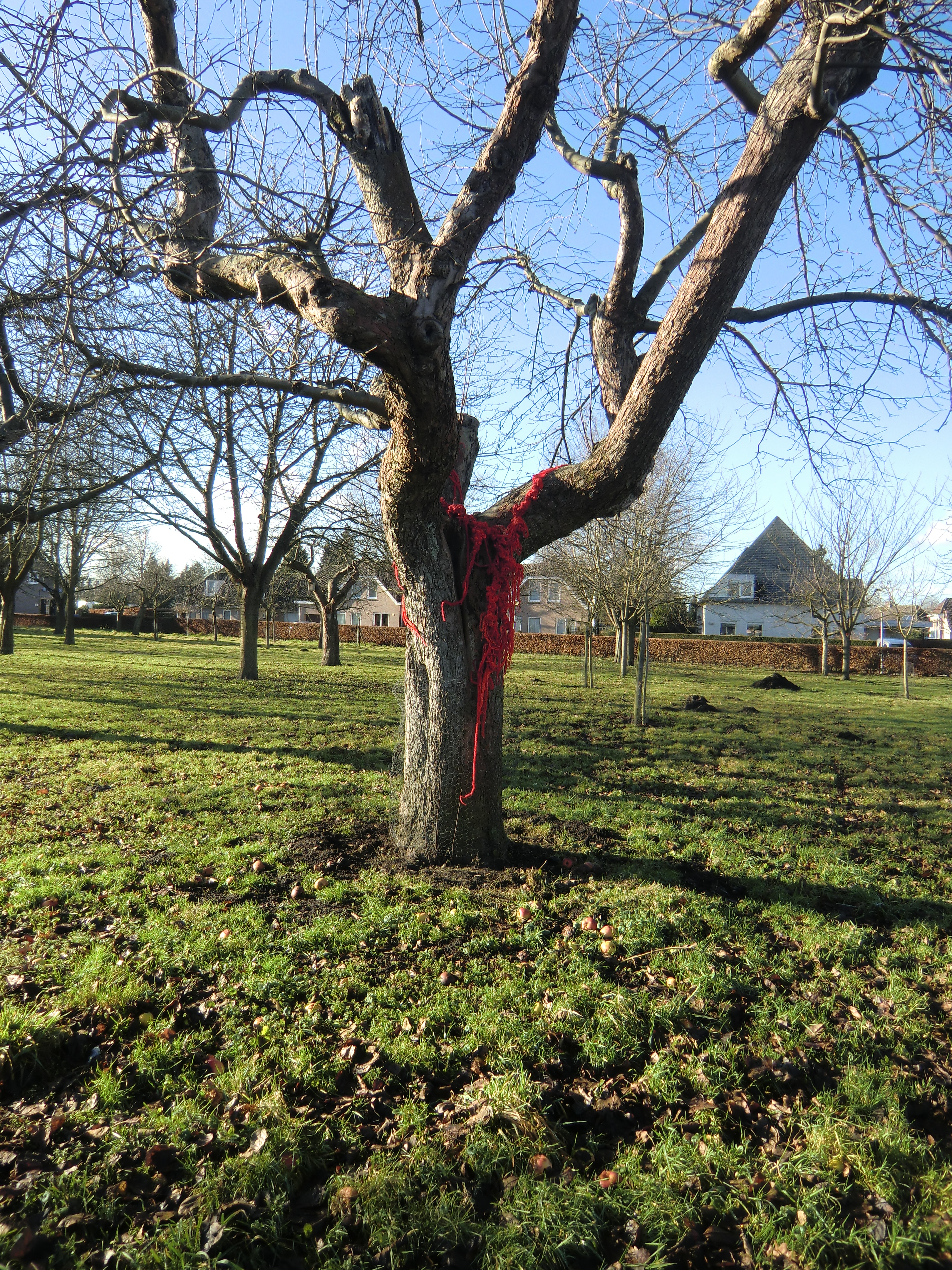 installations2