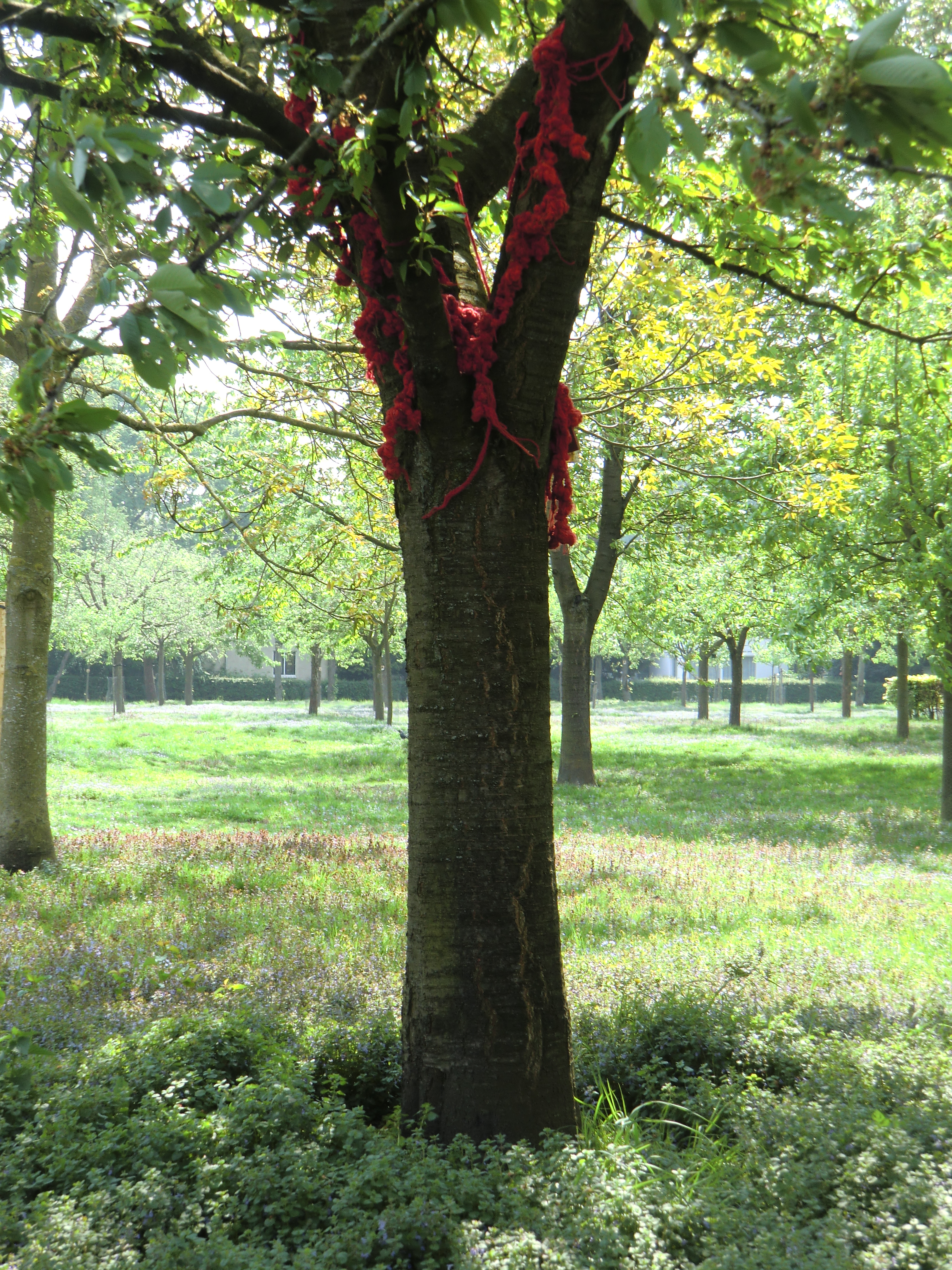 installations5