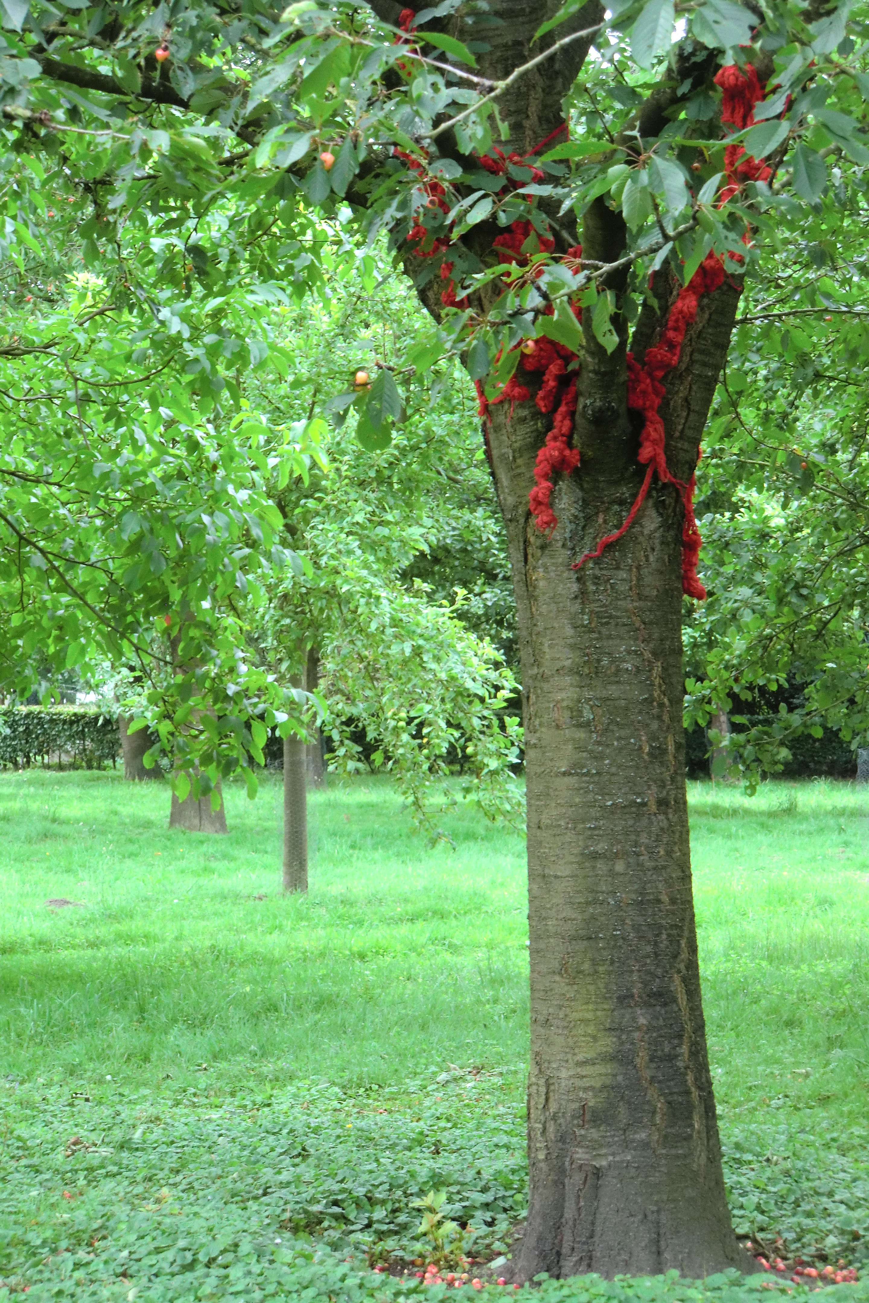 installations7