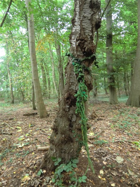 installations6