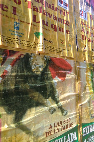 Toros Malaga6